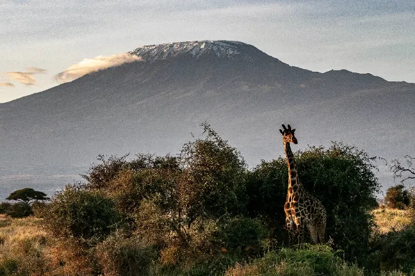 Voluntariado en Tanzania en Arusha