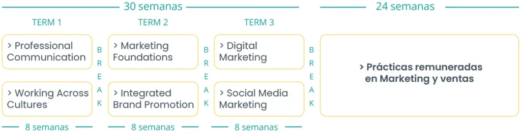 Sales and Marketing certificate en Canadá con prácticas