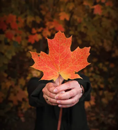 Business administration Canada