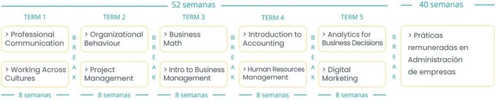 Business administration con las prácticas