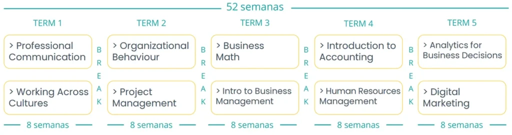 Business administration plan estudios sin las prácticas