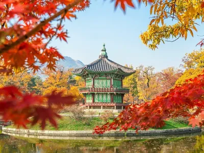 Voluntariado internacional Corea del Sur