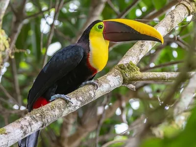 Voluntariado internacional Costa Rica