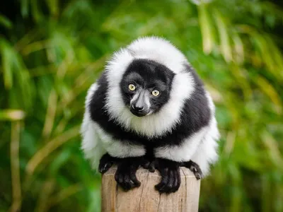 Voluntariado internacional Madagascar